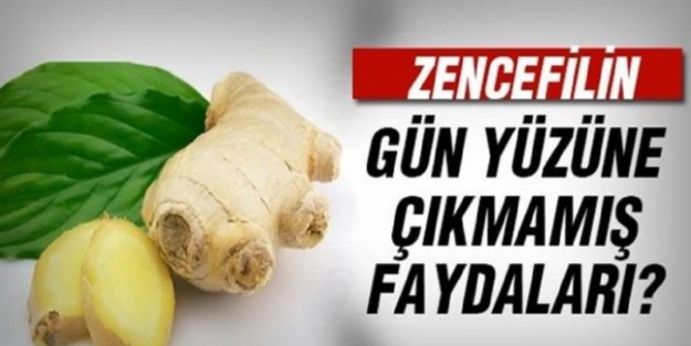 Zencefilin Kanıtlanmış Faydaları Nelerdir?