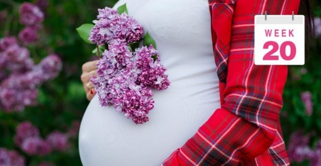 20 Haftalık Hamilelik Belirtileri Bebeğin Gelişimi Annede Değişiklikler