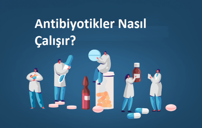 Antibiyotikler Nasıl Çalışır?