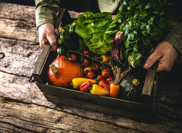 Keto Dostu En İyi 25 Düşük Karbonhidratlı Sebze